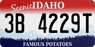 ID license plate 3B4229T