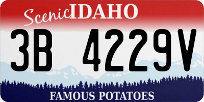 ID license plate 3B4229V
