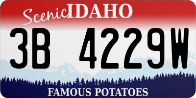 ID license plate 3B4229W