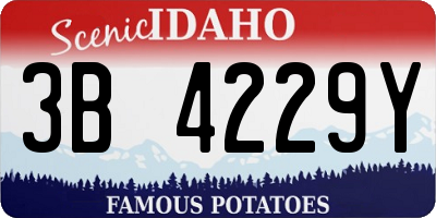 ID license plate 3B4229Y