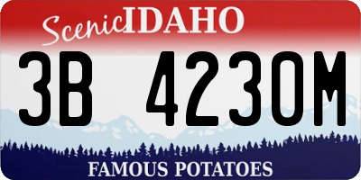 ID license plate 3B4230M