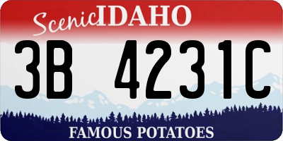 ID license plate 3B4231C