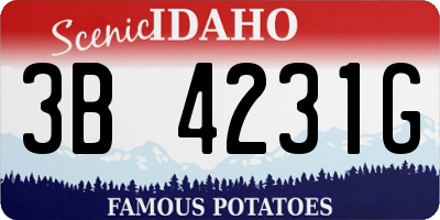ID license plate 3B4231G