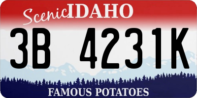 ID license plate 3B4231K