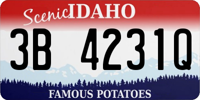 ID license plate 3B4231Q