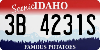 ID license plate 3B4231S