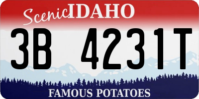 ID license plate 3B4231T