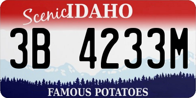 ID license plate 3B4233M