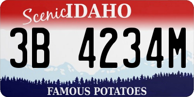 ID license plate 3B4234M