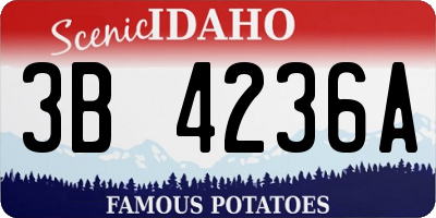 ID license plate 3B4236A