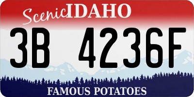 ID license plate 3B4236F