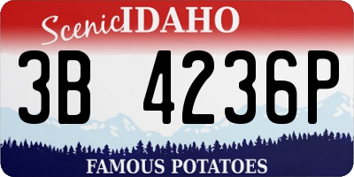 ID license plate 3B4236P