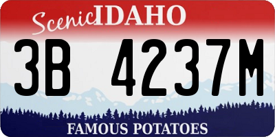 ID license plate 3B4237M