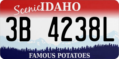 ID license plate 3B4238L
