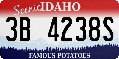 ID license plate 3B4238S