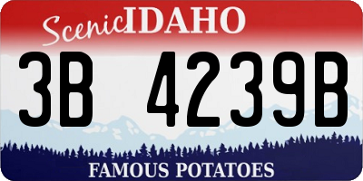 ID license plate 3B4239B