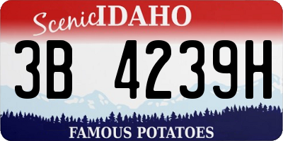 ID license plate 3B4239H