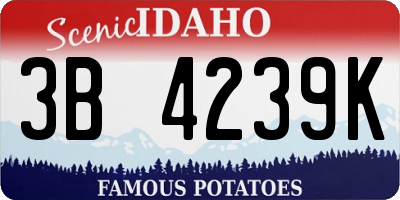 ID license plate 3B4239K