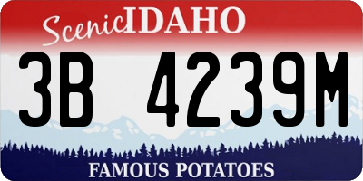 ID license plate 3B4239M