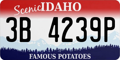 ID license plate 3B4239P