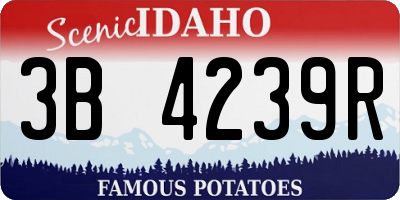 ID license plate 3B4239R