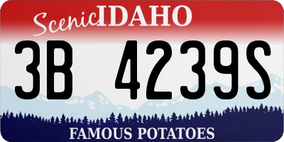 ID license plate 3B4239S