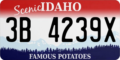 ID license plate 3B4239X
