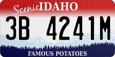 ID license plate 3B4241M