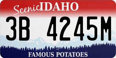 ID license plate 3B4245M