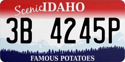ID license plate 3B4245P