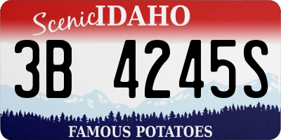 ID license plate 3B4245S