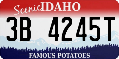 ID license plate 3B4245T