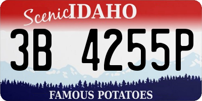 ID license plate 3B4255P