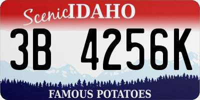 ID license plate 3B4256K