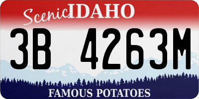 ID license plate 3B4263M