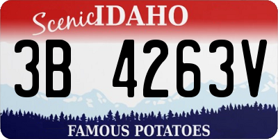 ID license plate 3B4263V