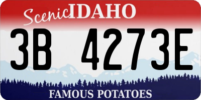 ID license plate 3B4273E