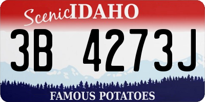 ID license plate 3B4273J