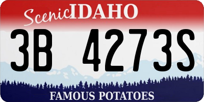 ID license plate 3B4273S