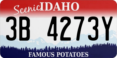 ID license plate 3B4273Y