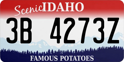 ID license plate 3B4273Z