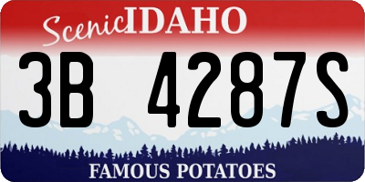 ID license plate 3B4287S