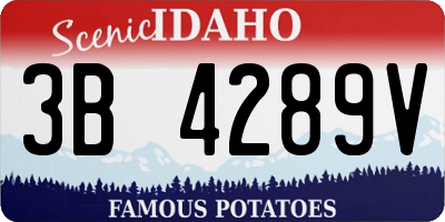 ID license plate 3B4289V
