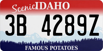 ID license plate 3B4289Z