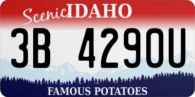 ID license plate 3B4290U