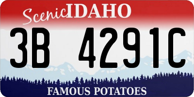 ID license plate 3B4291C