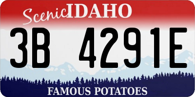 ID license plate 3B4291E