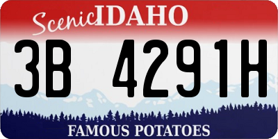 ID license plate 3B4291H