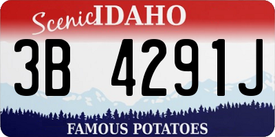 ID license plate 3B4291J