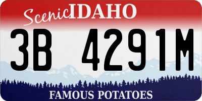 ID license plate 3B4291M